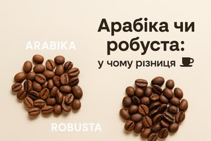 Арабика или робуста: в чём разница и что лучше именно для вас ☕ фото